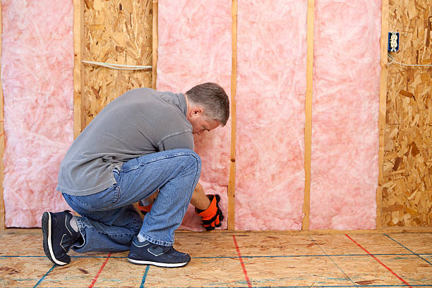 Best Specialized Insulation Services in Prudenville, MI