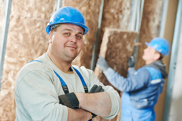 Best Geographic-Specific Insulation Services in Prudenville, MI